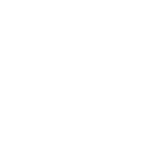 Reports, Graphics