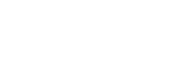 Fancy Sim
