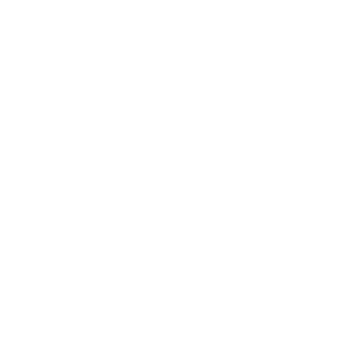 software as a service (SAAS)